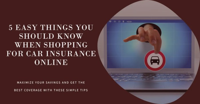 Shopping For Car Insurance Online: 5 Easy Things You Should Know » Mac ...